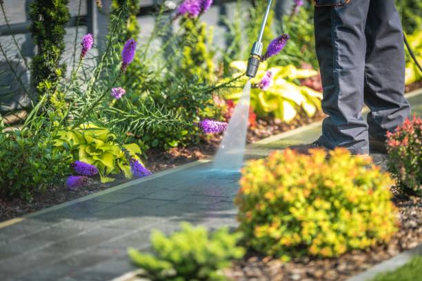 Best Deck and Patio Pressure Washing in Uvalde Estates, TX